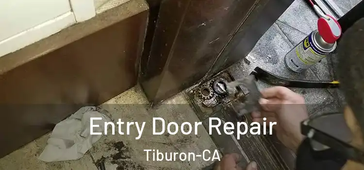  Entry Door Repair Tiburon-CA