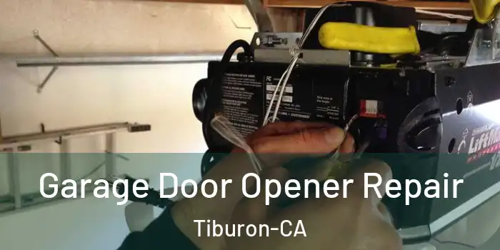  Garage Door Opener Repair Tiburon-CA