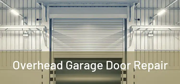  Overhead Garage Door Repair 